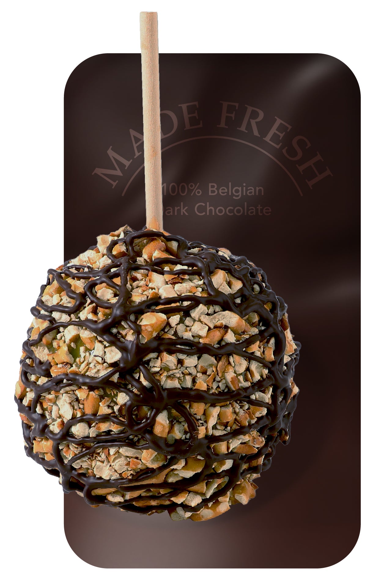 Caramel Apple with Pretzel and Dark Belgian Drizzle